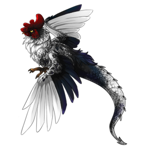 pet #2948