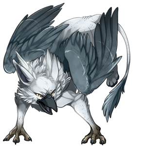 pet #3864