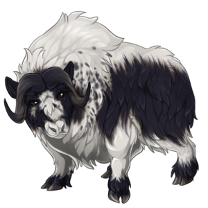 pet #4013