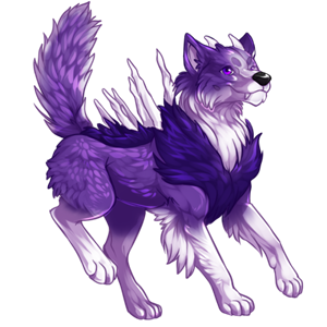 pet #2949