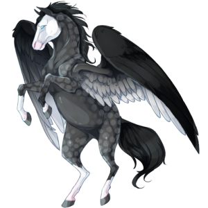 pet #689