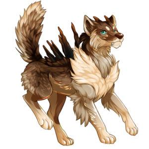 pet #675